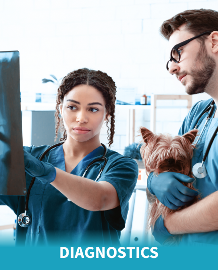 Diagnostics