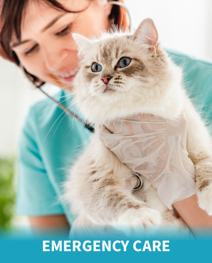 Emergency Care
