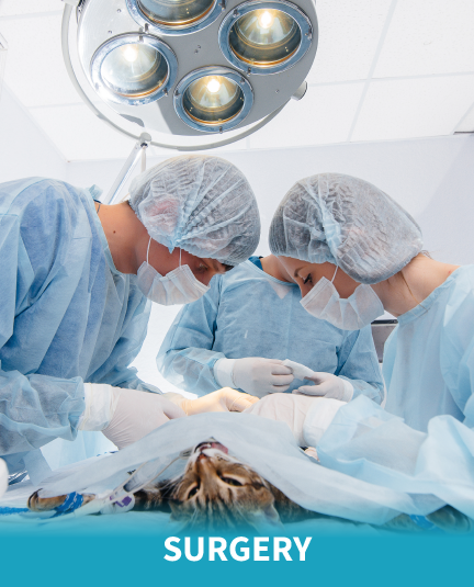 Surgery